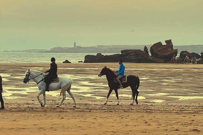 1 hour horse ride on the beach of essaouira - Morning, afternoon, or sunset timing