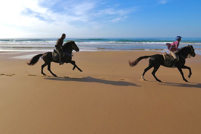 1 hour horse ride on the beach of essaouira - Who will enjoy this ride most?