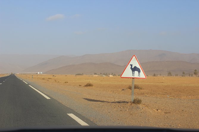 1 night in desert from Agadir - Sunset, campfire dinner, and Sahraoui music