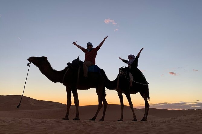 10 Days from Casablanca: The Best of Morocco - Marrakech brings the trip to a lively finish