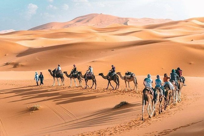 10D 9N Private Morocco Tour From Casablanca By Imperial Cities And South Desert - Rissani, fossils, and the Todra Gorge