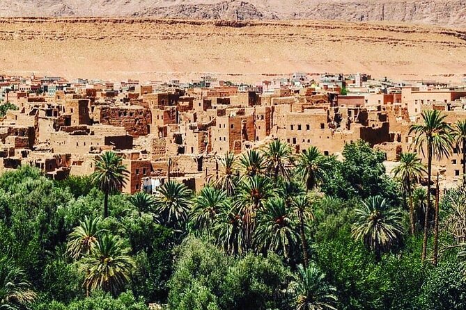 12 Day Morocco Tour - Days 4 and 5: Volubilis and the Fes medina