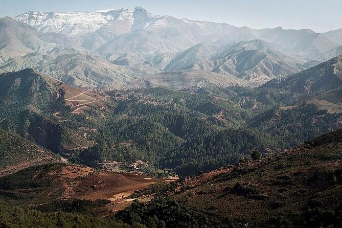 12 Days Private Luxury Sightseeing Tour in Morocco - Cedar forests and mountain roads lead toward the Sahara