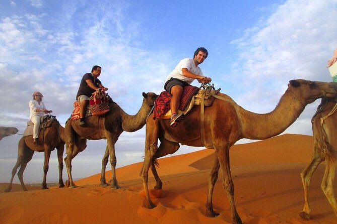 12 Days Private Luxury Sightseeing Tour in Morocco - Fes rewards a full morning inside the medina