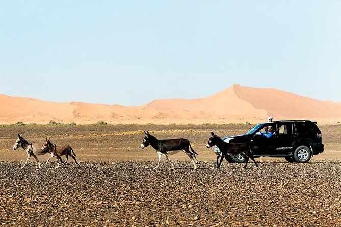 14 Days From Casablanca- Morocco Grand Tour - Across the Middle Atlas to Midelt