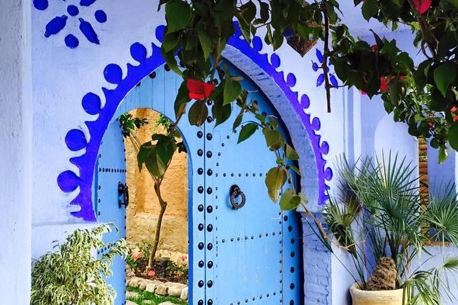 14 Days From Casablanca- Morocco Grand Tour - Erg Chebbi: music, dunes, and a camp night