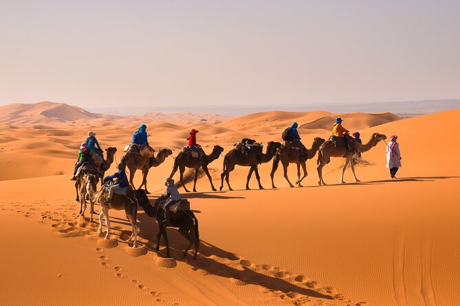 15 Days Morocco Private Grand Tour From North To South Starting From Casablanca - Rissani, Todra Gorge, and the road of kasbahs