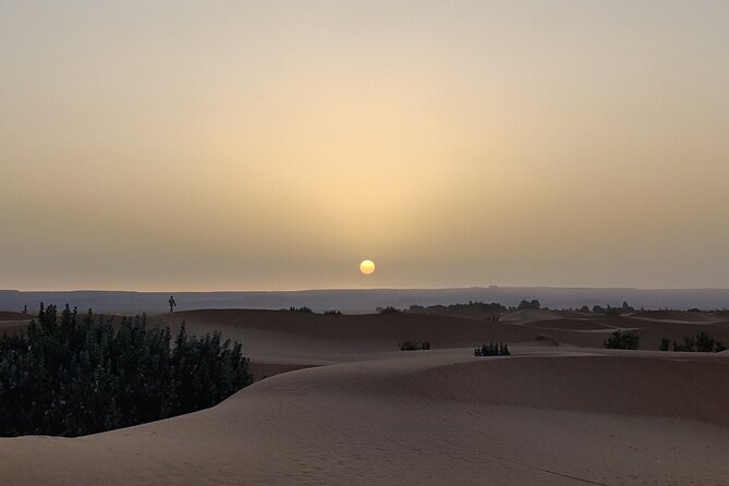 2 Day Luxury Desert Tour from Fes to Fes or Marrakech - Sunrise, breakfast, and the long road back