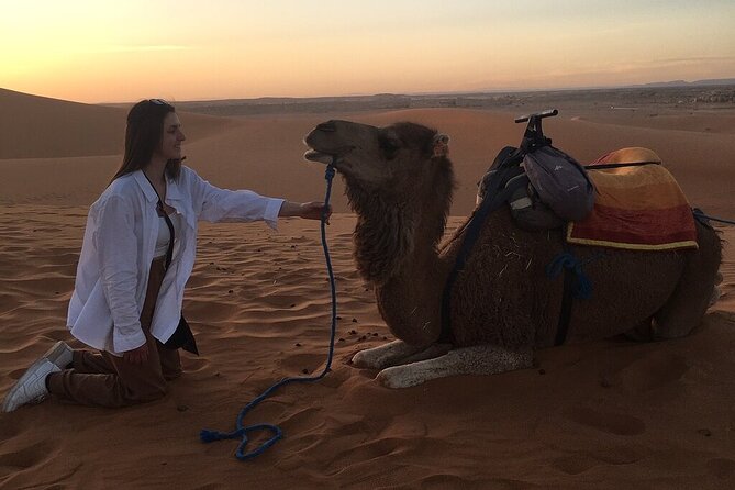 2 Day Luxury Desert Tour from Fes to Fes or Marrakech - Is $127.76 a fair price?
