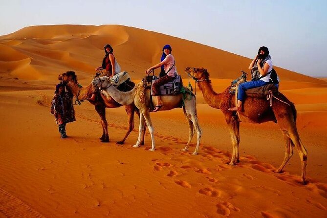 2 Day Luxury Desert Tour from Fes to Fes or Marrakech - Rissani, Erfoud, and the first sight of the Sahara