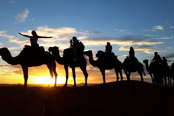 2-Day Zagora Desert Tour from Marrakech - The real shape of this two-day trip