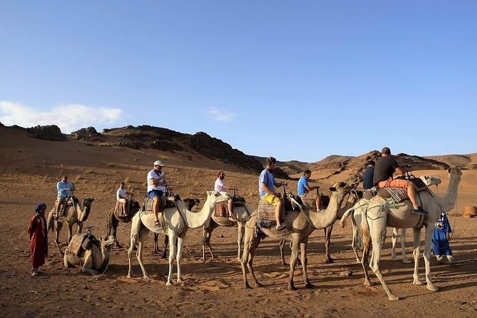 2-Day Zagora Tour from Marrakech Including the Atlas Mountains, Camel Trek and Desert Camp - The real character of this Zagora trip