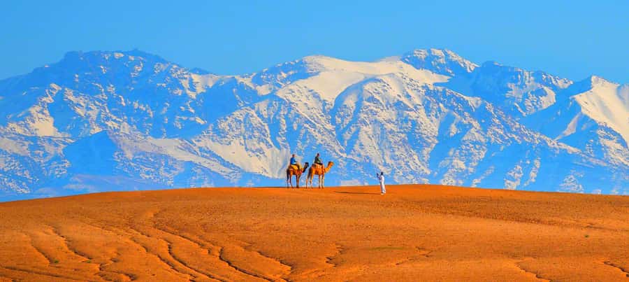 2 Days Desert Agafay and Atlas Mountains Trek From Marrakech - Who will enjoy this trip most