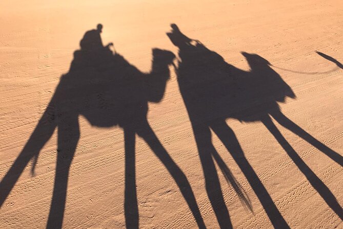 2-Days Desert Tours from Fes with Overnight in Luxury Camp - The Driver Can Make or Break the Journey
