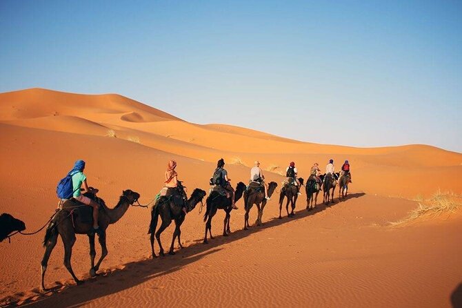 2 Days Desert Trip Back To Fes/ Or Marrakech - Who will enjoy this trip most