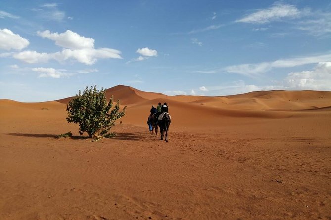 2 Days Fes Desert trip Overnight Erg chebbi End up Fes/Marrakech - What the group size means in practice