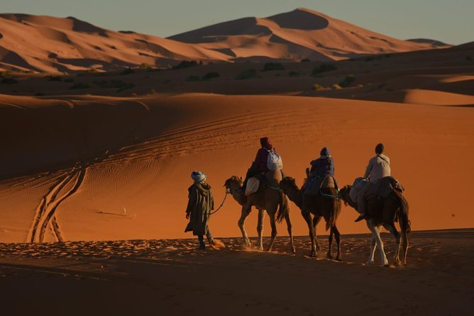 2 Days Fes Desert trip Overnight Erg chebbi End up Fes/Marrakech - From Fez to Ifrane, Morocco changes quickly