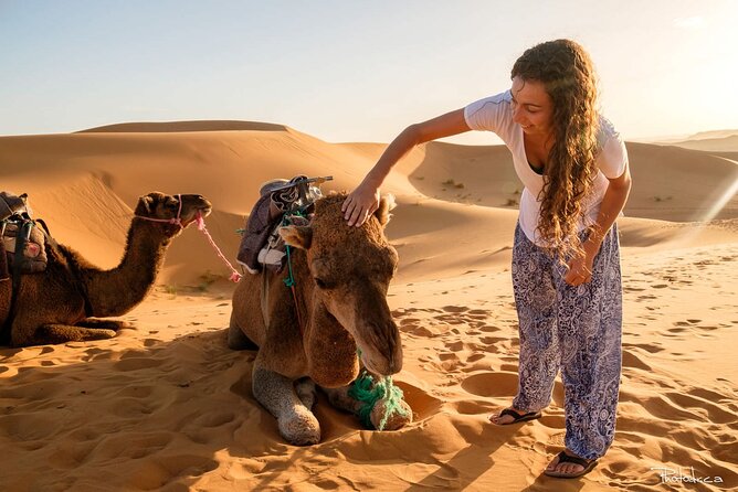 2 days luxury desert trip [fes to fes or marakech] - The Sahara night that makes the trip worthwhile
