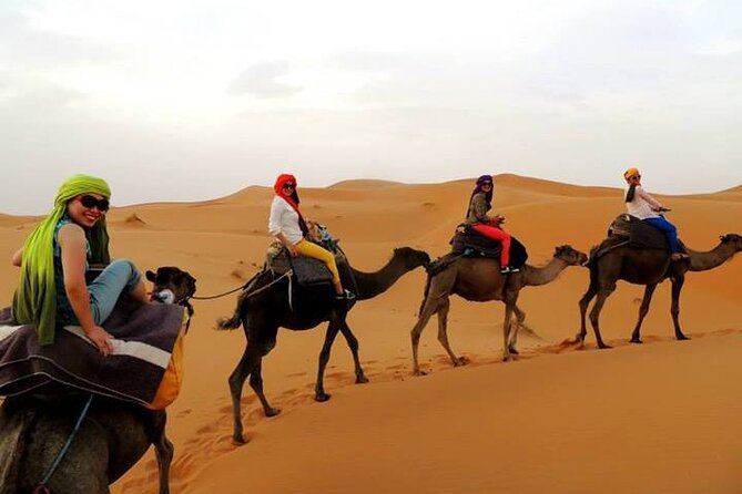 2 Days Sahara Group Tour Fez to Marrakech via Merzouga - Ifrane, Morocco’s mountain stop