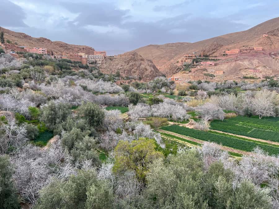 2 Days Trip From Marrakech To Ouarzazate & Dades Valley - Skoura Oasis and Kasbah Amridil