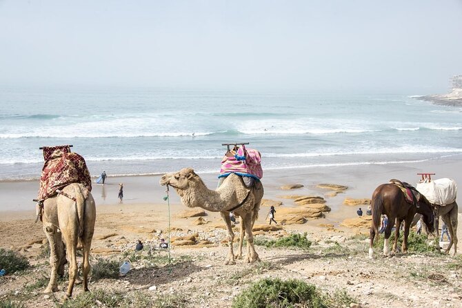 2 Hours Activity Surfing lessons in Taghazout - Key points before you book