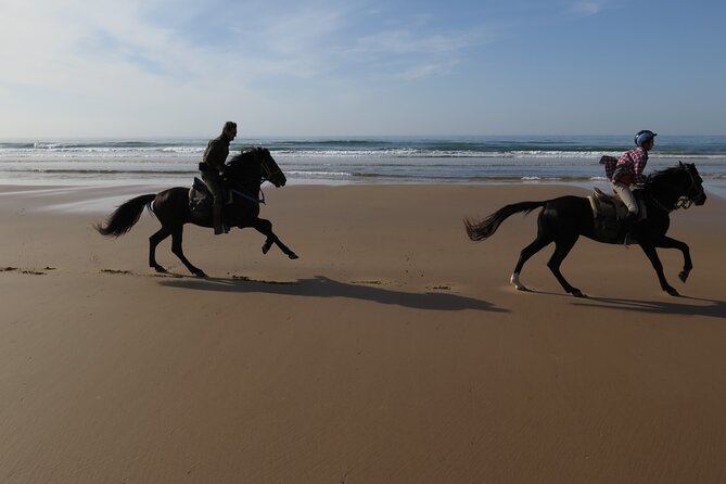 2 hours horse ride beach and dunes in Essaouira Morocco - What the guides add to the ride