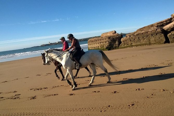 2 hours horse ride beach and dunes in Essaouira Morocco - The main drawbacks to consider