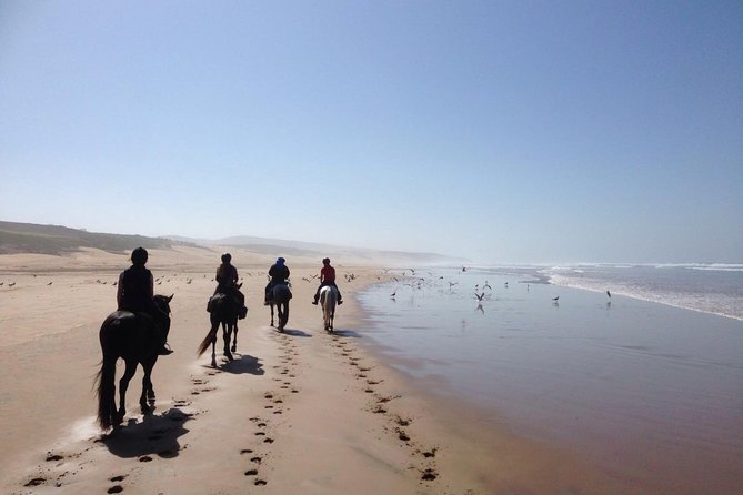 2 hours horse ride beach and dunes in Essaouira Morocco - A coastal route with more than beach