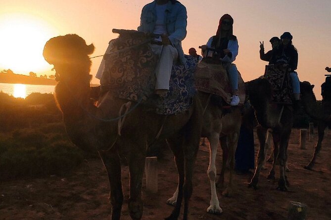 2 Hours Private Camel Ride in Agadir - Riding from the ranch toward the Souss River
