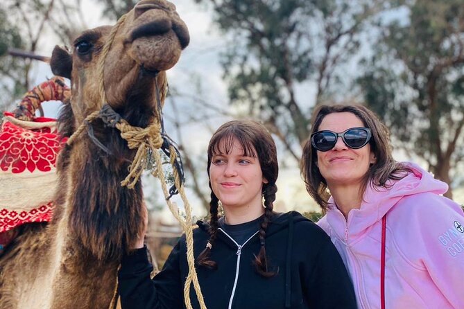 2 Hours Private Camel Ride in Agadir - Who will enjoy this Agadir camel ride?