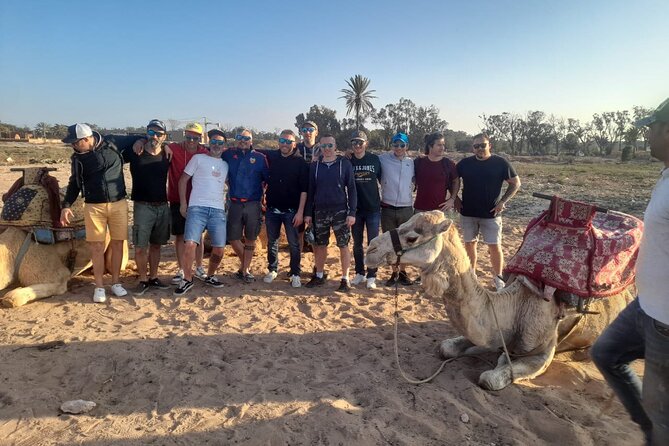 2 Hours Private Camel Ride in Agadir - Practical advice for a smoother ride
