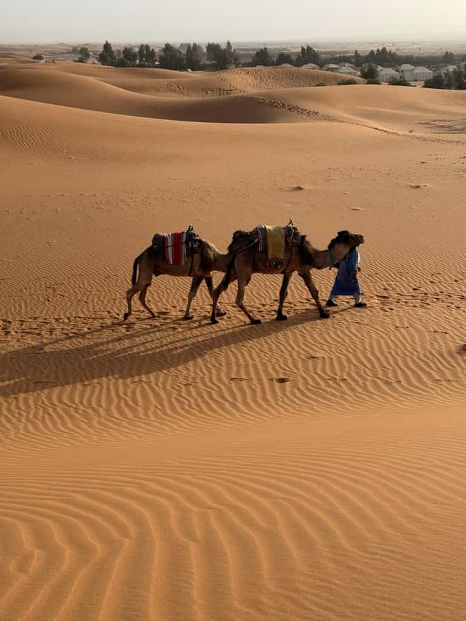3-Day luxury Adventure: Marrakech to Merzouga incl.Quad/show - Guides, vehicles, and group rhythm