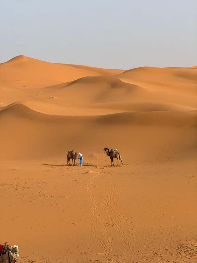 3-Day luxury Adventure: Marrakech to Merzouga incl.Quad/show - Day two: Todra Gorge and the road to Merzouga