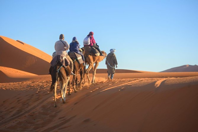 3-Day Luxury/Budget Desert Tour to Marrakech via Merouga from Fez - The real shape of the journey