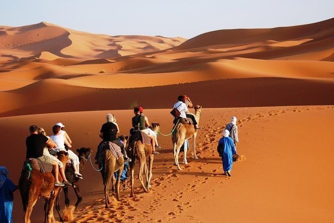 3-Day Marrakech to Fes Sahara Desert Tour via Merzouga - Final verdict: a strong transfer with a demanding schedule