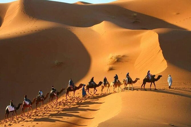 3-Day Sahara Adventure: Marrakech to Fez via Merzouga - Who should book this desert trip