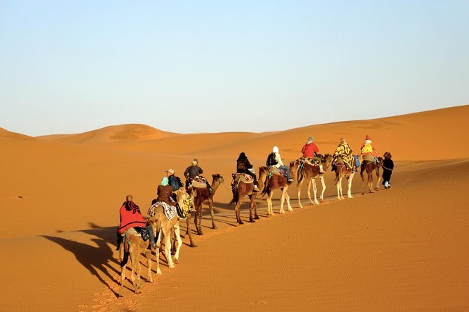 3-Day Tour to Merzouga Erg Chebbi with Food & Camel Trek - Day three: sunrise, camels, and the long return