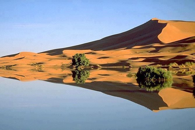 3 Days 2 Nights Adventure from Marrakech to Fez via Desert - Camel riding into Erg Chebbi