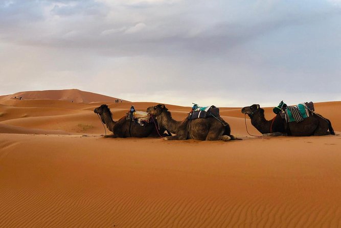 3 Days 2 Nights: Desert Tour from Fes to Marrakech - Ouarzazate after the road through the valleys