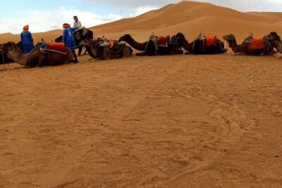 3 Days 2 Nights: Desert Tour from Fes to Marrakech