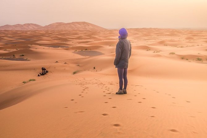 3 Days 2 Nights: Desert Tour from Fes to Marrakech - Driver, guide, and language expectations