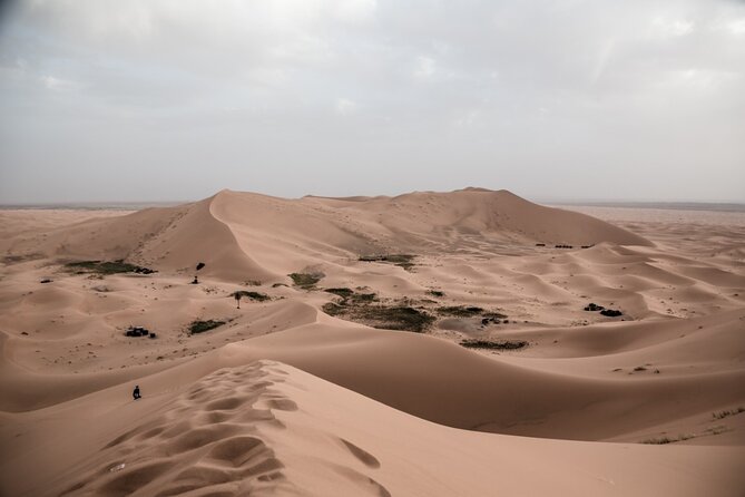 3 Days 2 Nights Desert Tour from Fes to Marrakech via erg Chebbi - Day 3: Ouarzazate’s film connection and ancient kasbahs