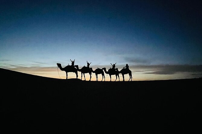 3 Days 2 Nights Desert Tour from Fes to Marrakech via Merzouga - Reaching Merzouga and the Erg Chebbi dunes