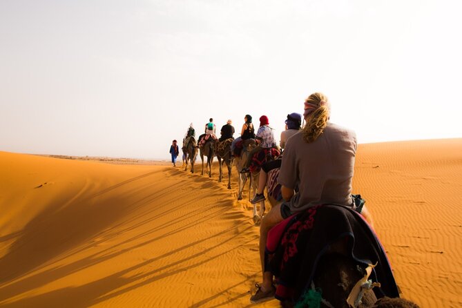 3 Days Desert Tour Fes to Marrakech with 2 Nights in Merzouga - Fez, Marrakech, and the direction problem
