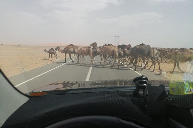 3 Days Desert Tour Fes to Marrakech with 2 Nights in Merzouga - The long road to Erg Chebbi
