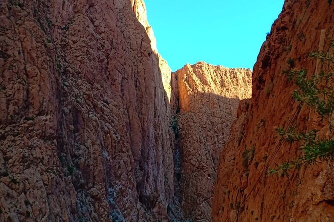 3 Days Desert Tour Fes to Marrakech with 2 Nights in Merzouga - Khamlia music and the oasis