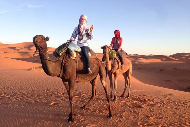 3 Days Desert Tour from Fes to Marrakech via Merzouga - Day three, kasbahs, film studios, and the Atlas crossing