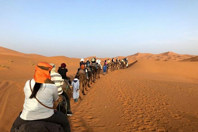 3 Days Desert Tour from Fes to Marrakech via Merzouga - Should you book this Fes to Marrakech desert tour?