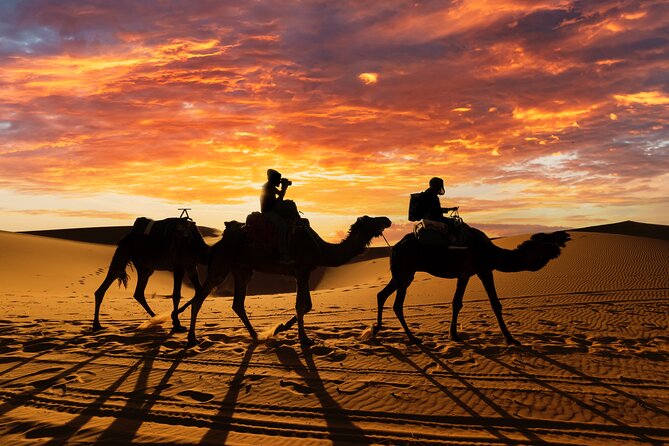 3 Days Desert Tour from Fes to Marrakech via Merzouga - Day one, from Fes through cedar forests to Merzouga