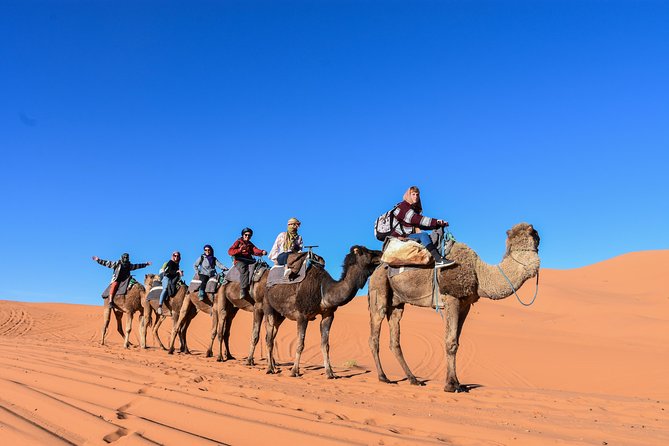 3 Days Desert tour from Fez to Marrakesh via Merzouga Erg chebbi - Day two: Sunrise, Rissani, Todra Gorge, and Ouarzazate